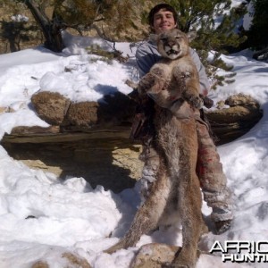 Utah Cougar Hunts