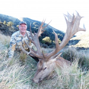 New Zealand Red Deer