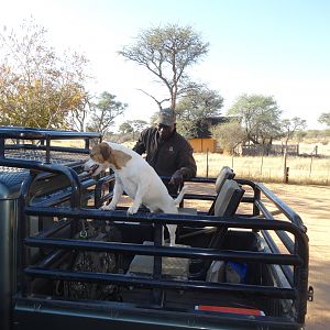 Bakkies in the bakkie