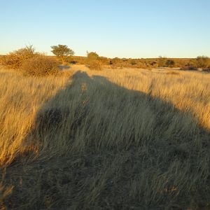 bakkie at sunrise