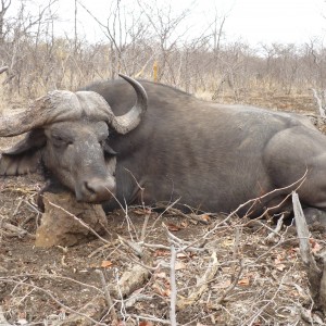 Arc Africa Hunting Safaris