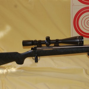 Stiller 6BR with 300-yard target