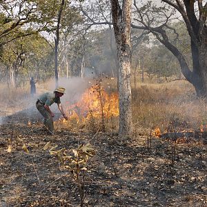 burning fire breaks