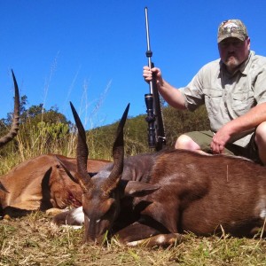 Impala Bushbuck