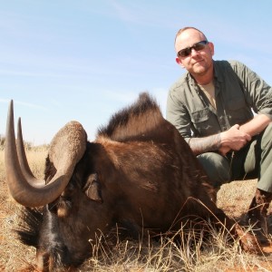 Black Wildebeest 2014