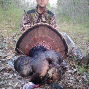 Gobbler 2013 10.5" Beard 1.5" Spurs