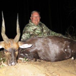 Bushbuck