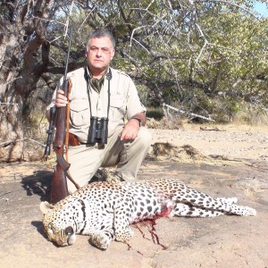 Leopard Hunt Namibia