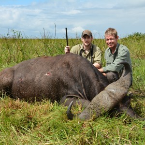 Son's Coutada 14 Buffalo bull