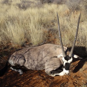 oryx