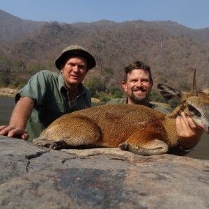 klipspringer