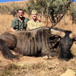 Happy Client with Blue Wildebeest