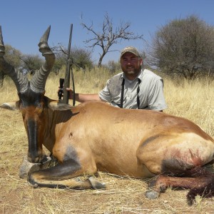 Monster 25 inch Namibian Hartebeest