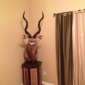 Kudu Pedestal