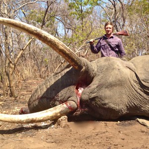 Elephant - Niassa, Mozambique