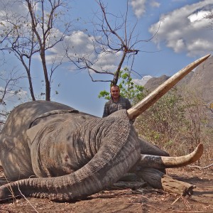 Elephant - Niassa, Mozambique