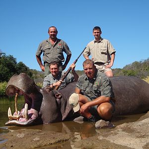 Hippopotamus Matetsi