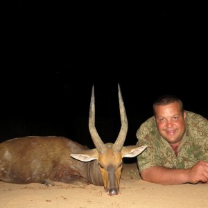 Bushbuck