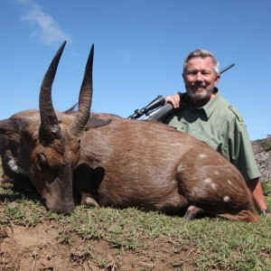 Cape Bushbuck 2014