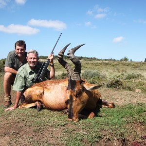 Red  Hartebeest  2014