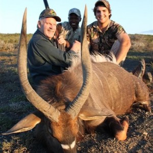 NYALA BULL SEPTEMBER 2014