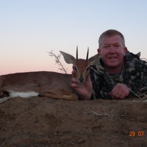 Steenbok