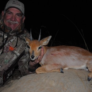 Steenbok