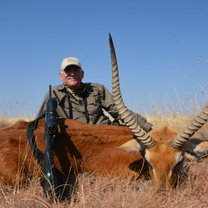 Red Lechwe