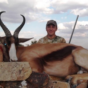 Copper Springbok