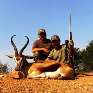 Springbok