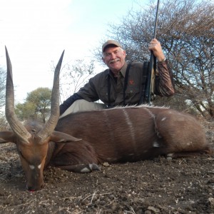 Bushbuck 2013