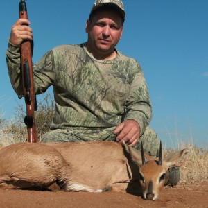 Steenbok