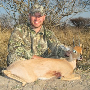 Steenbok