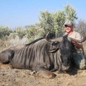 Wildebeest