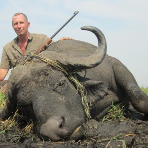 zambeze  delta buffalo