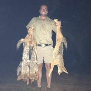 Successful Jackal Hunt