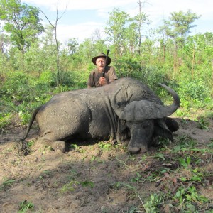 Buffalo from Nyamazana Safaris Zimbabwe