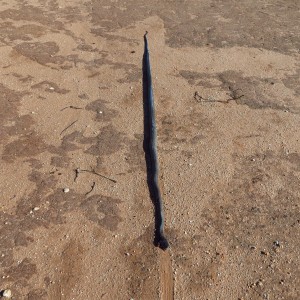 Black Mamba Namibia