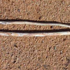 Bushman Bag Namibia