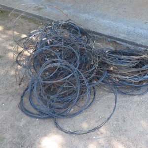 Poacher Snares Namibia