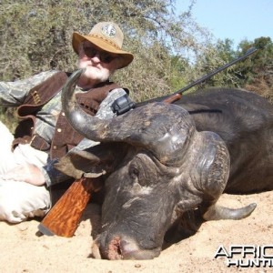 Buffalo 2015 Bulls with Spear safaris