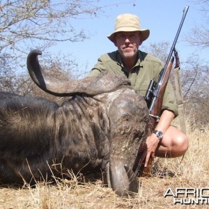 Buffalo 2015 Bulls with Spear safaris