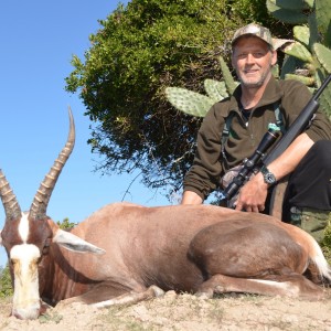 Blesbok KMG Hunting Safaris