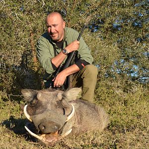 Warthog KMG Hunting Safaris