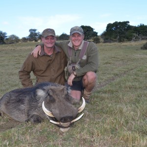 Warthog KMG Hunting Safaris