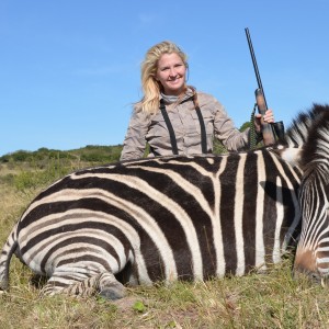 Zebra KMG Hunting Safaris