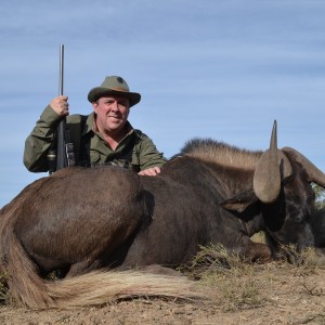 Black Wildebeest KMG Hunting Safaris