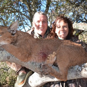 Caracal KMG Hunting Safaris