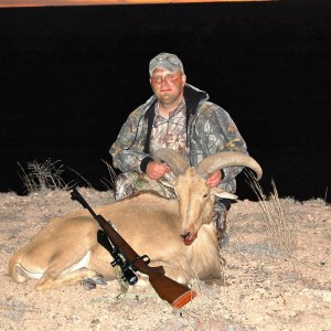 Aoudad