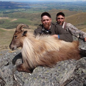 November Tahr hunting in New Zealand